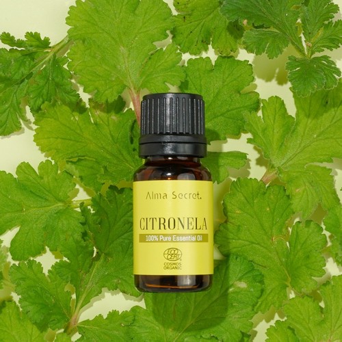 CITRONELLA oil