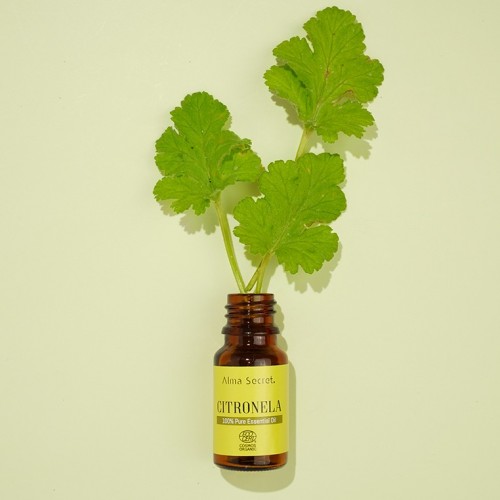 CITRONELLA oil