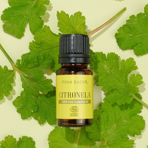 CITRONELLA oil