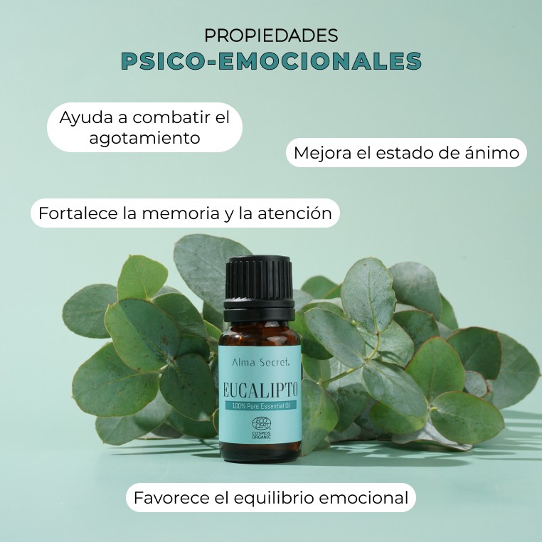 ▷▷▷ Aceite esencial de Eucalipto ▷ 100% NATURAL y Sostenible