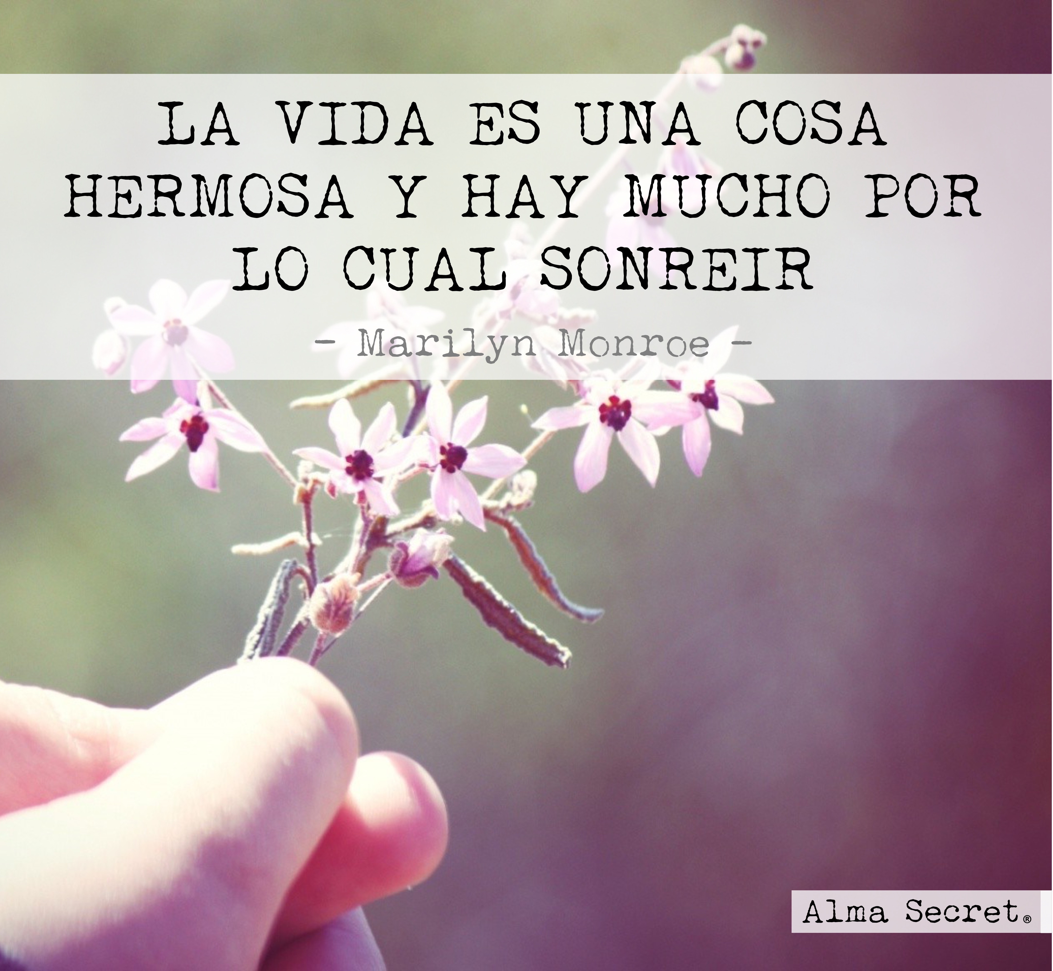 20 FRASES INSPIRADORAS — ALMA SECRET