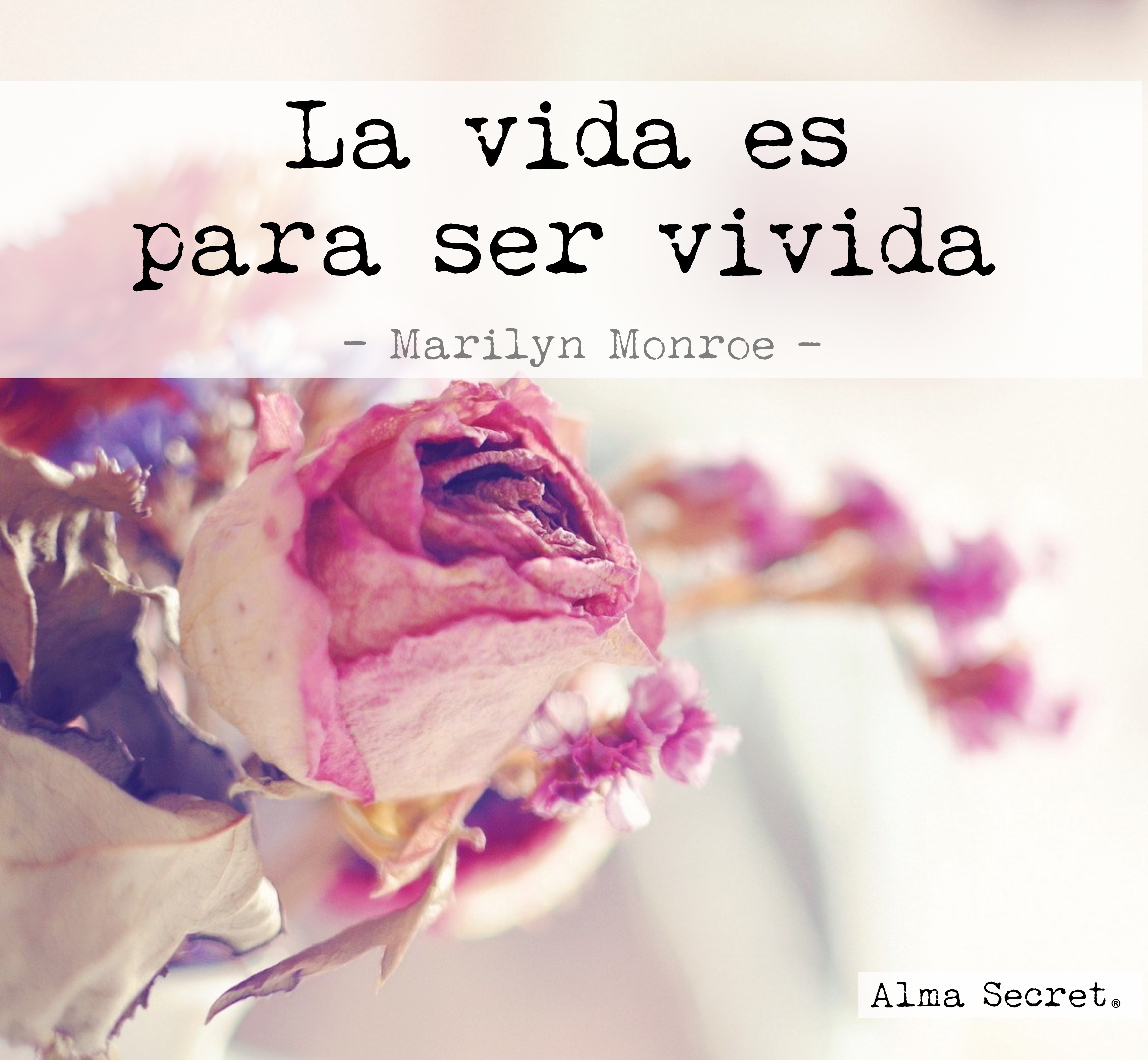 la vida es para ser vivida. Frases célebres. quotes. frases famosas. citas célebres. frases Marilyn Monroe. frases para compartir. frases inspiradoras.Ríe cuando estés triste, llorar es demasiado fácil. Frases célebres. quotes. frases famosas. citas célebres. frases Marilyn Monroe. frases para compartir. frases inspiradoras.