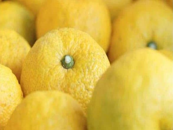 Yuzu Es El Ingrediente De Moda