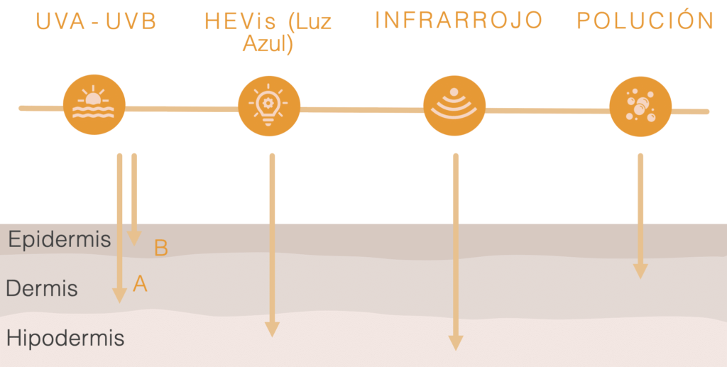 tipos de radiación solar (UV, IR, HEVIs)