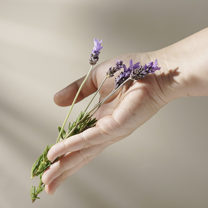 Aceite esencial de lavanda 100% puro y ecológico