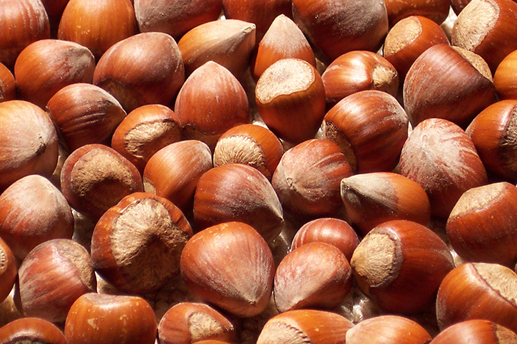 ACEITE DE AVELLANA (Hazelnut Oil)